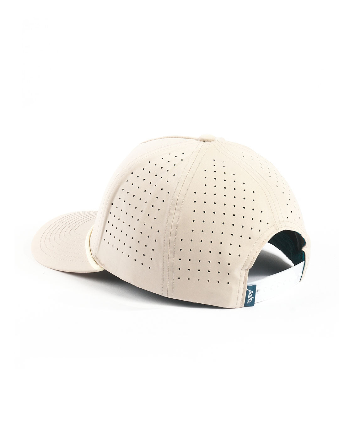 Coast to Coast Snapback