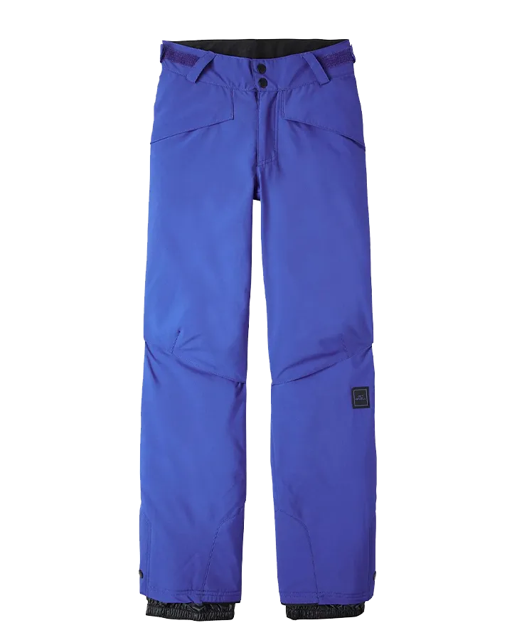 O'Neill Kids' Hammer Pants - Surf The Web Blue | Shop Snow Pants & Suits at Trojan Wake Ski Snow & Snow Skiers W